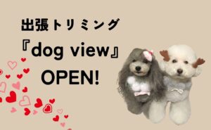 dog vew open