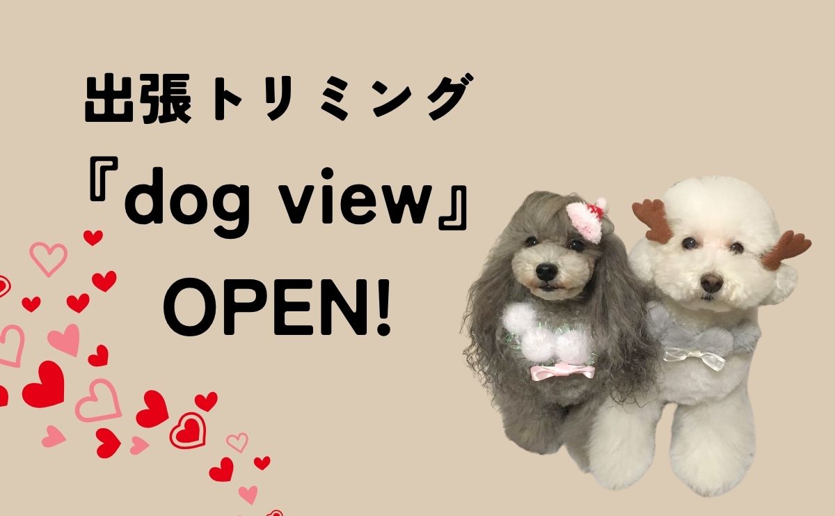 dog vew open